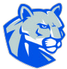 Vernon Hills logo